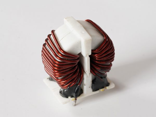磁環電感6